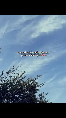 দুজন একই আকাশ দেখি, অথচ দুজন দুজনকে দেখিনা বহুদিন.!❤️‍🩹#foryou #foryoupage #unfrezzmyaccount #tiktokbangladesh🇧🇩 #fypシ゚ 