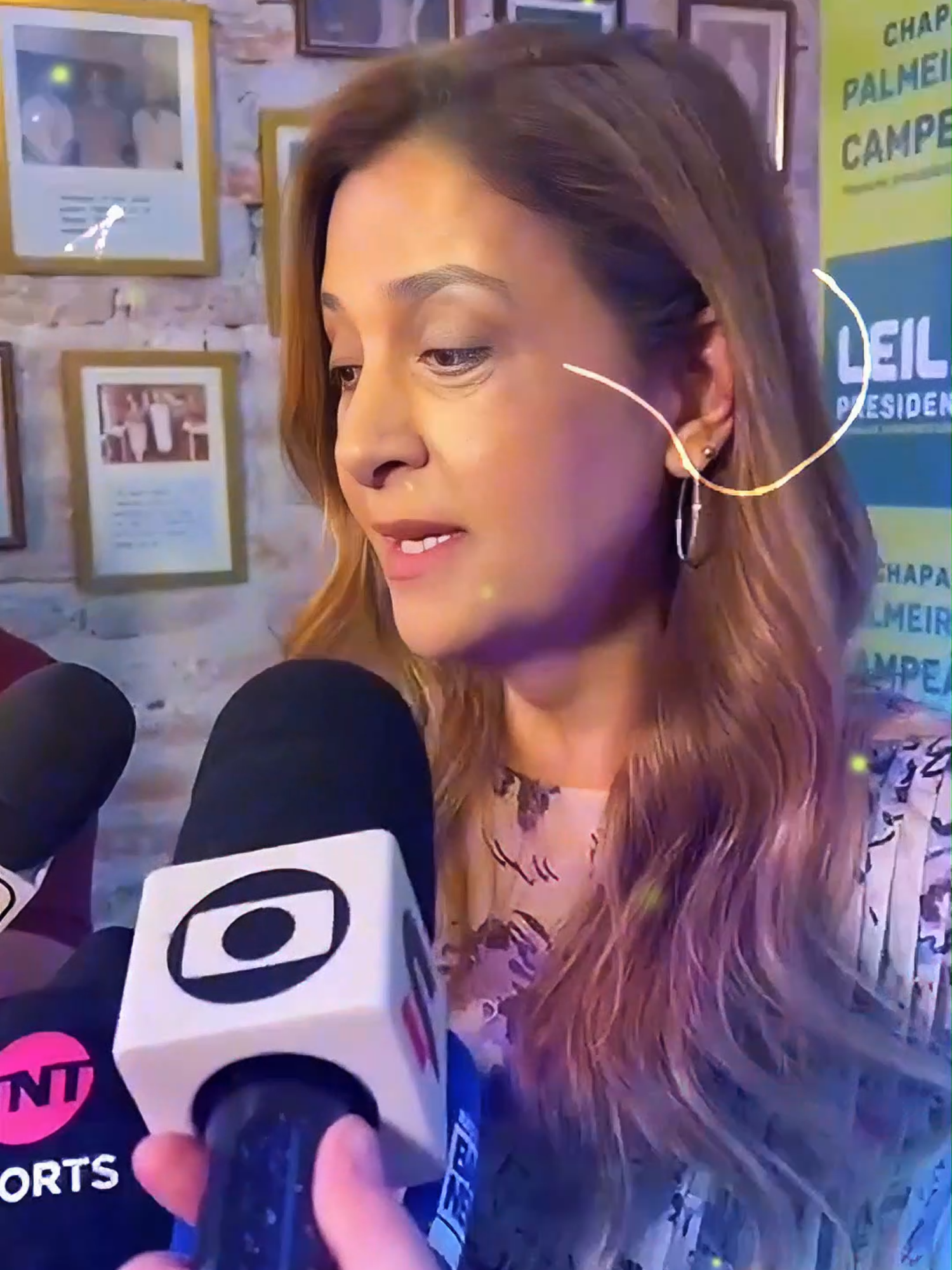 Leila Pereira, presidente do Palmeiras questiona equilíbrio do STJD após julgamento de Bruno Henrique!#futebolbrasileiro #verdão #palmeiras #leilapereira