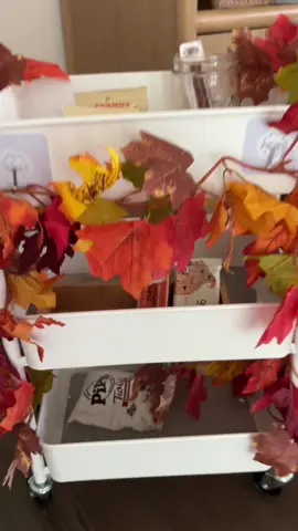 let’s restock the delivery driver cart!!! I always do as many healthier options as possible from @Thrive Market because it’s always hard to find these snacks on the go! (And we’ve had a few of them tell us they’re thankful for the healthy ones!) #thrivemarketpartner get 30% off + free gift in my b!o!