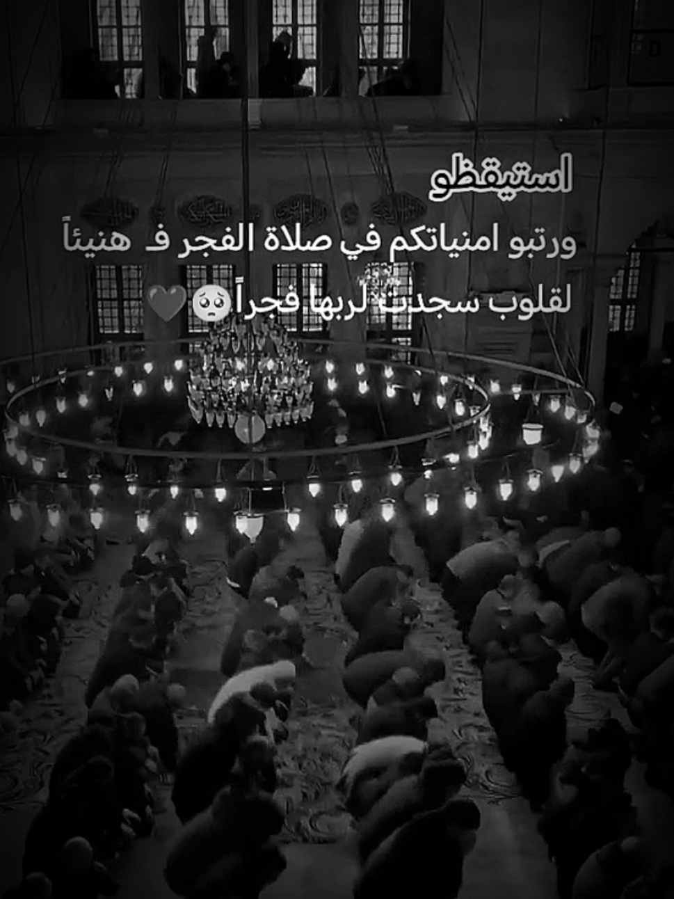 #عبارات #فخمة #للعقول_الراقية_فقط🤚🏻💙 #fyp #foryoupage 