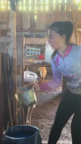 Quem tu conhece que come assim 😹😹😹 . . #avidanocampo #porco #mocadaroca🤠😍🙏🤠😍🙏🤠 #interior #viral 