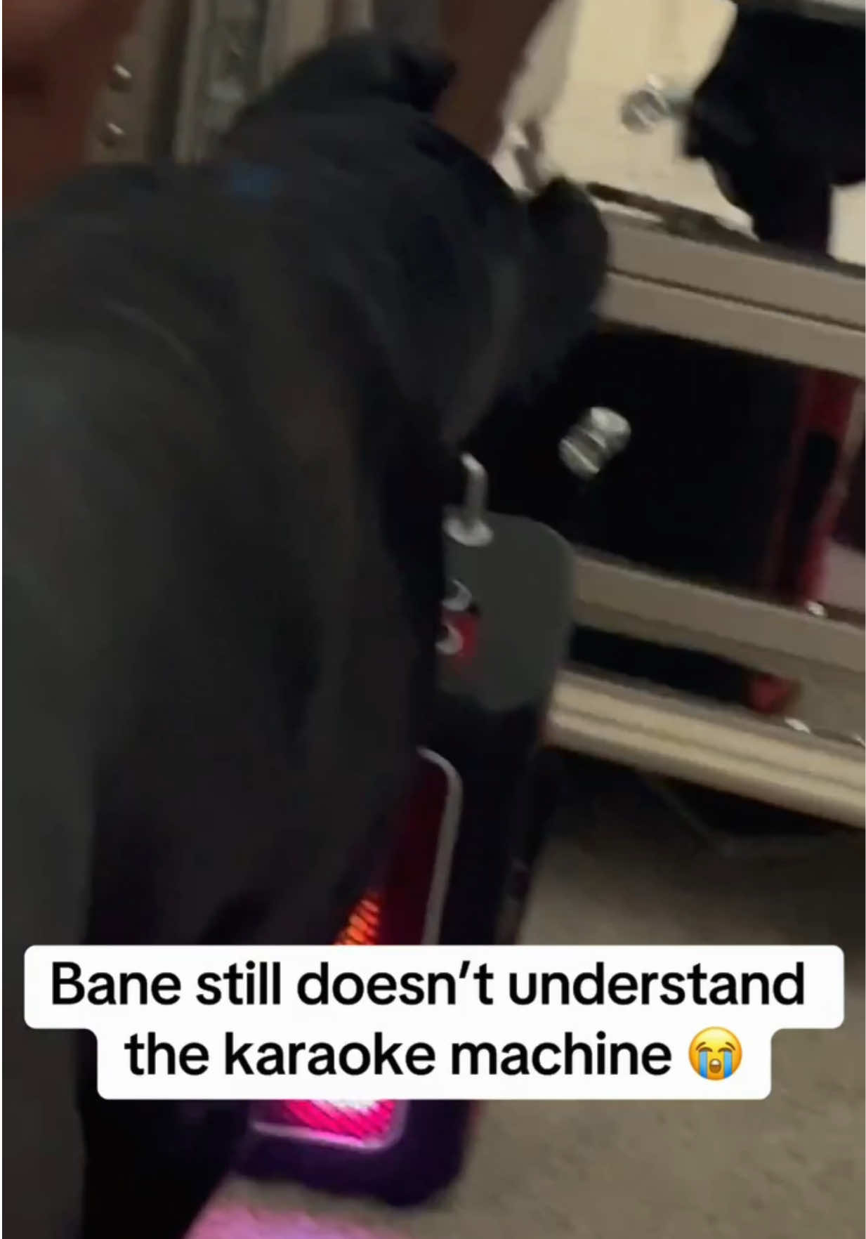 Mom needs a new karaoke machine 😂  #raisingbane #funnypets 