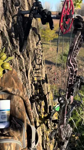 @Code Blue Scents X Knight and Hale — The best combo 🔥 @Greg Camp #halowaterfowl #halolife #halocountry #deerseason #deerhunting   