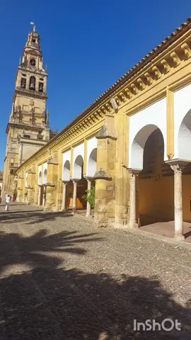 زيارة #جامع_قرطبة 