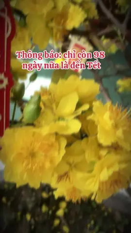 Tui nôn dữ lắm rồi mn ơi #tet #2026 #tet2026 #chucmungnammoi #🧧 