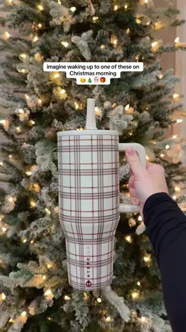 LOVE 😍🎄 #christmas #christmasgiftideas #tiktokshopblackfriday #hydrojug #christmasgifts 