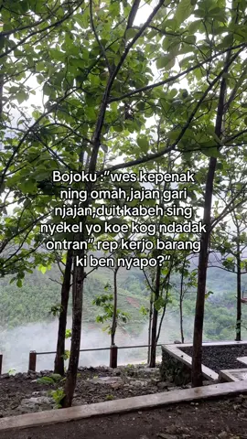 Di usia yang masih rada muda ini,kadang mikir pengen kerja lagi sih.apalagi udah pernah merantau,tapi kembali lagi liat anak yang menganggap aku adalah DUNIA nya.jujur berat banget,gak tega banget dan setelah dipikir berulang kali beneran aku gamau ninggalin dia ,aku mau melihat tumbuh kembangnya dengan mataku sendiri.Trimakasih suami dan anakku,karna kalian aku merasa diriku ada artinya 🥹🫶🏻🫶🏻 #fyp  #masukberanda #keluargacemara 