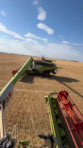 Bulgaria 2025 🤩 #harvest #lexion #johndeere #kinze #claas 