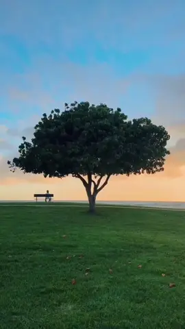 #natureemusic #calm #nature #viral #relax 