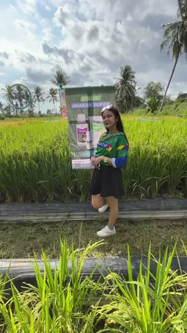 Paket anakan super #bayer 