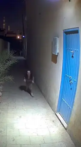 Is that a Jenglot? Cheetah attacks in Cairo! 😨 #fyp #viral #scary #ring #creature 