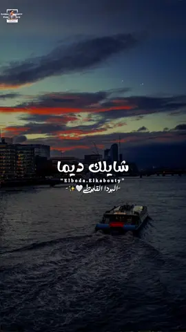 شايلك دينا جوا عنيا #عبد_الرحمن_غالية_عليا #البودا_القابوطي #تصميم_البودا 