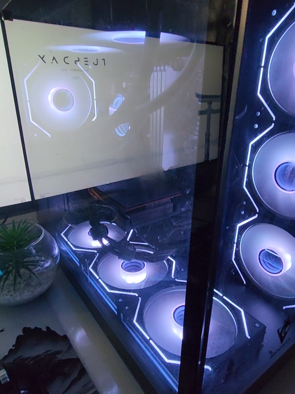 شكون راه كي حالتي🤔 #fyp #dz #gamer #editor #fypシ゚ 