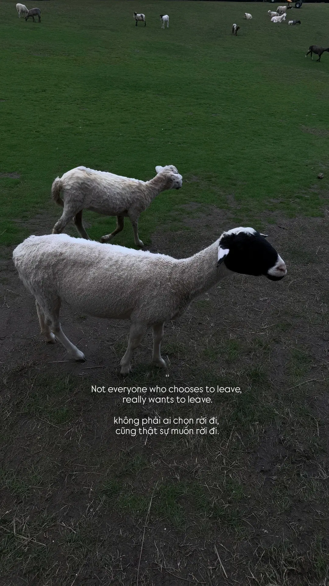 Not everyone who chooses to leave, really wants to leave....