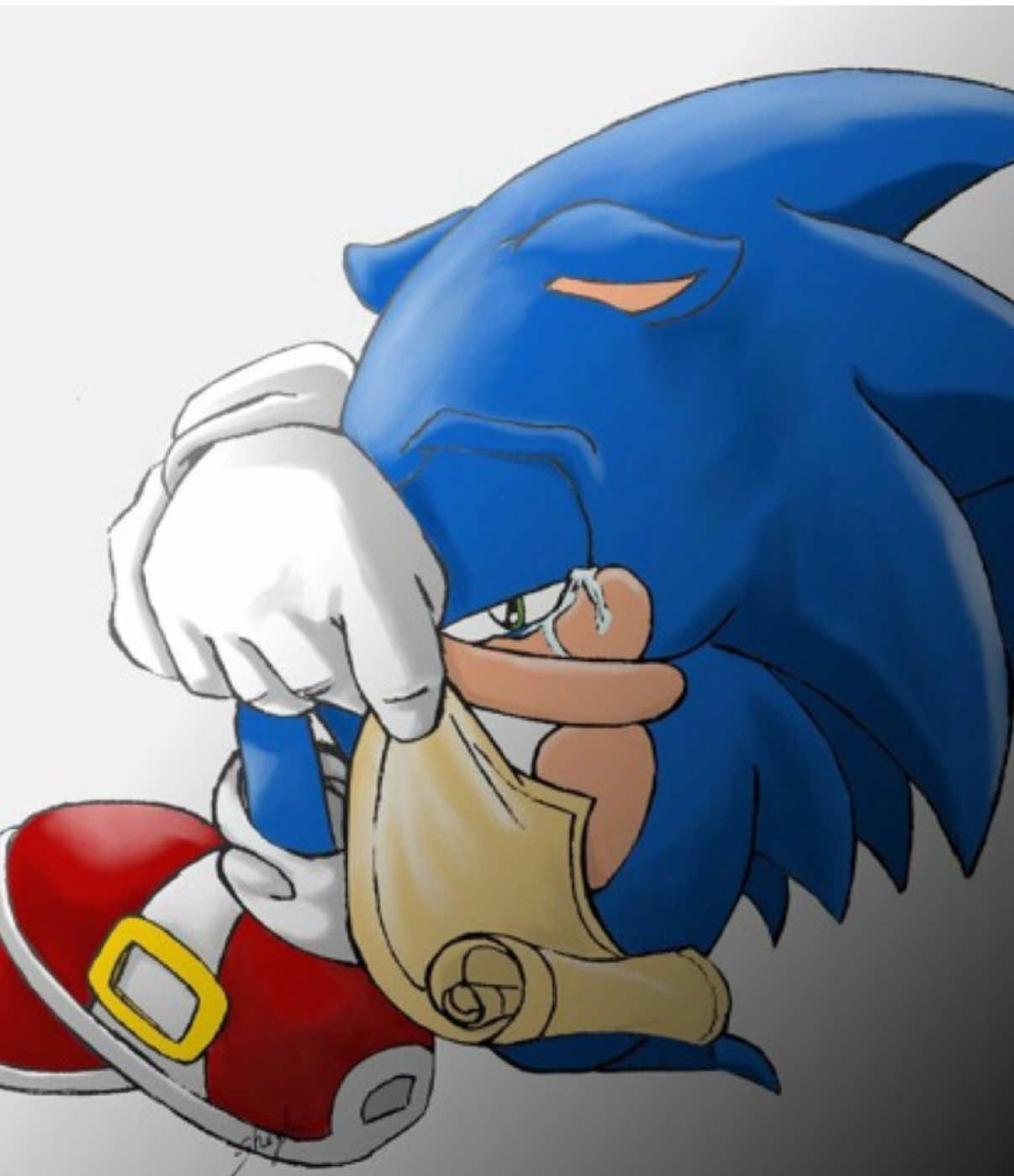 one step at a time twin. NO AI 🚫 #sonicthehedgehog #gaming #memes #fyp #voiceover 