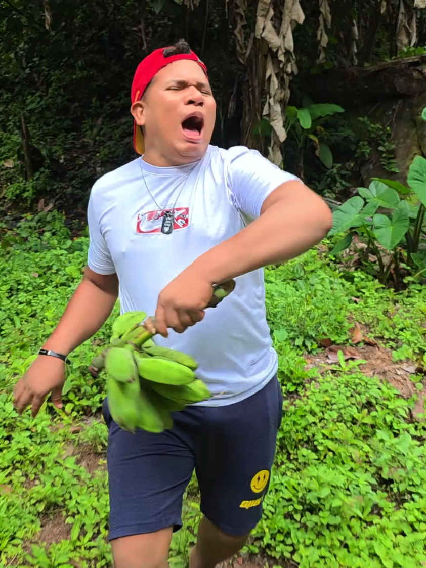 cuando te mudas a las montañas #humor #comedia #viral 