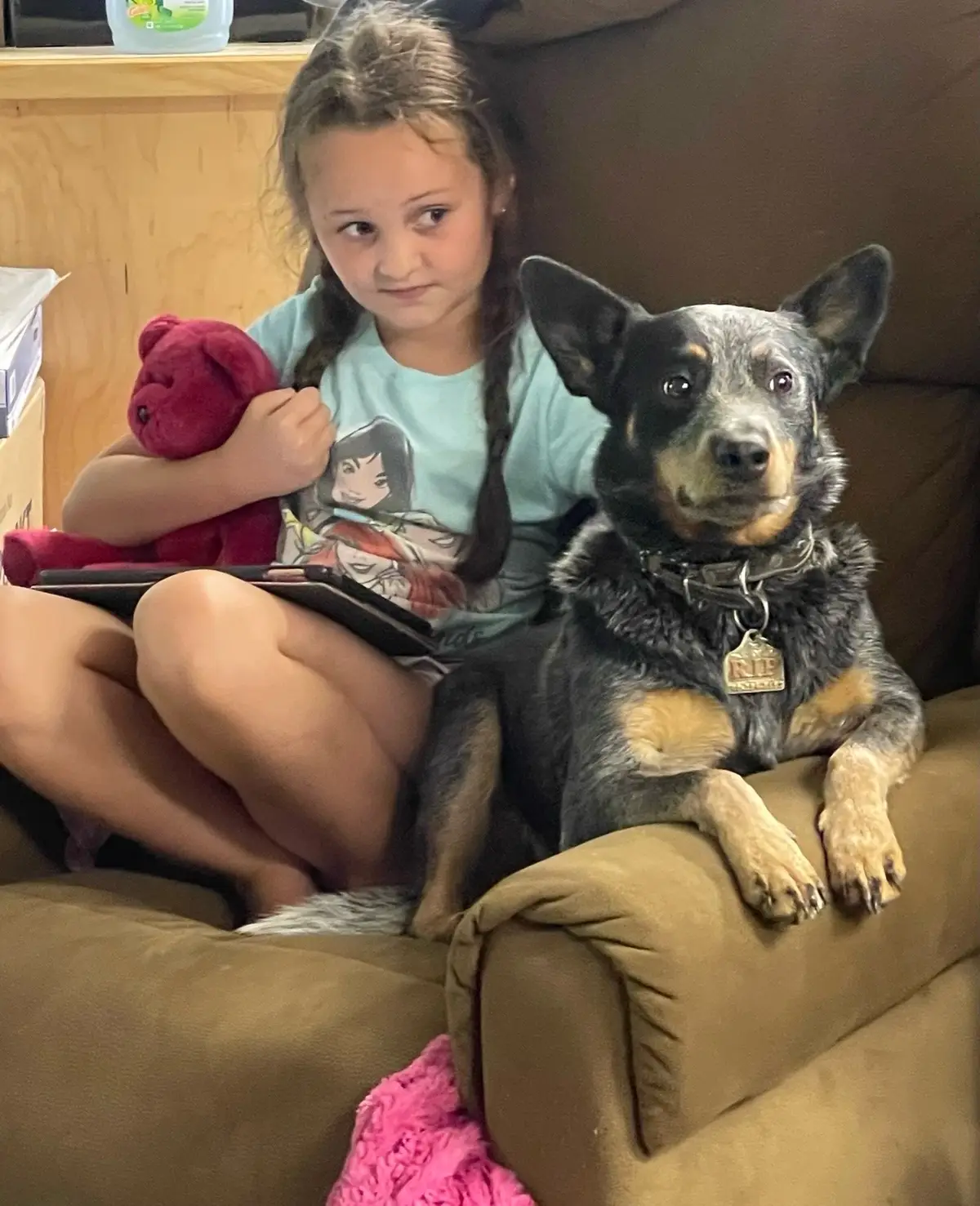 #fyp #blueheeler #farmlife #ranchdog #foryoupage 