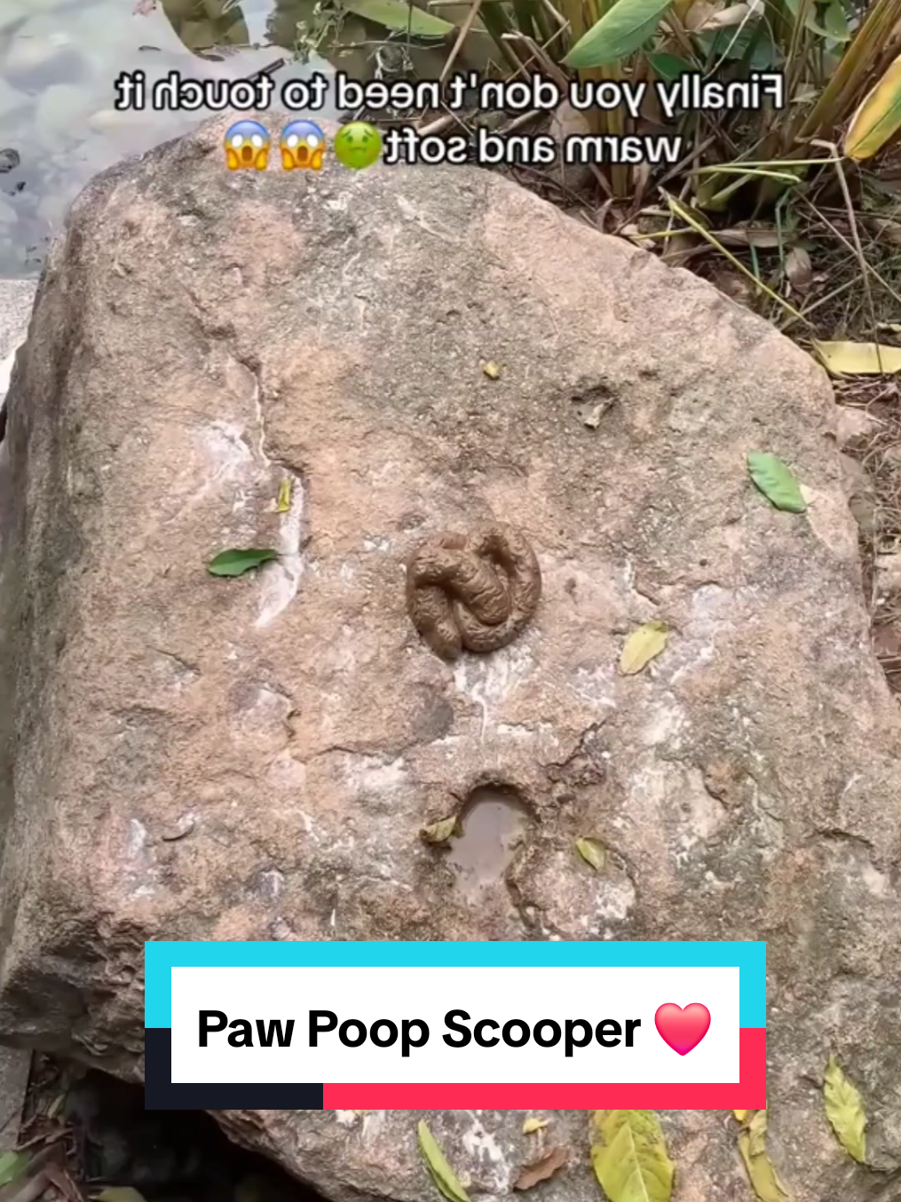 Paw Poop Scooper ❤️  #dogshop #petproducts #dogproducts #petshop #dogs 