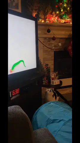 Desperate times call for #CatTV  #CabinFever #Wally 