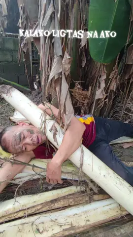 #LIVEIncentiveProgram #LIVEwithlowfollowers #PaidPartnership #fyp #nandycapate 