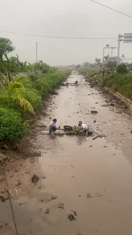 Lâu nắm rồi mới lại thấy cảnh này #quehuong 