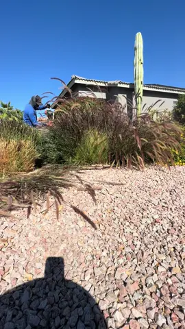 #yarderosperrones💪🏼🇲🇽 #fyp 