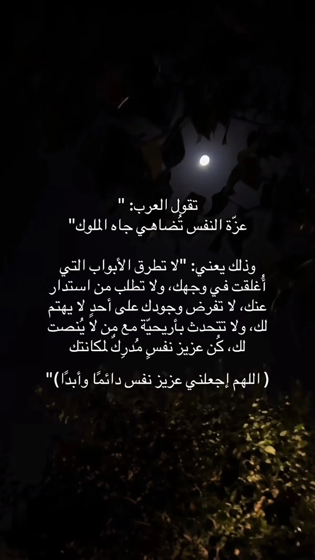 #صباح_الخير 