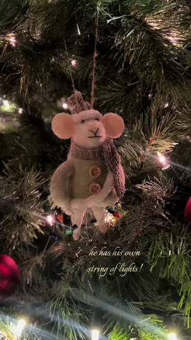 need a million more felt animal ornaments pls!!  #christmas #ornaments #holidaydecor #christmastree #holidays 