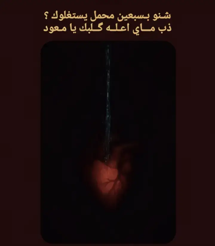 #ستوريات_اشعار🖤💔 #اكسبلور #الايك #شعب_الصيني_ماله_حل #العراق_السعوديه_الاردن_الخليج 