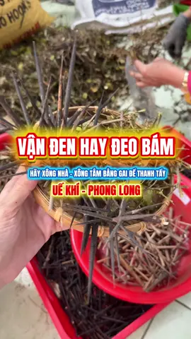 Không gian sống cũng cần được gột rửa. Xông nhà - xông tắm bằng gai giúp cuốn đi khí xấu, đón năng lượng mới, tinh thần nhẹ nhõm hơn mỗi ngày #xongnha #tayuephongthuy #7loaigai #9loaigai #tamxaxui 