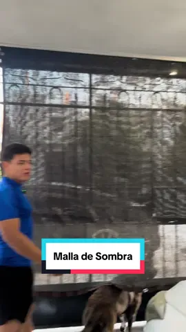 Una chulada tener esta malla sombra 😎🔥 Consíguela por menos de 300 en el carrito naranja de este video ❤️🙌🏻 #buenfinentiktokshop #blackfridayentiktokshop #emilioironside #malladesombra 