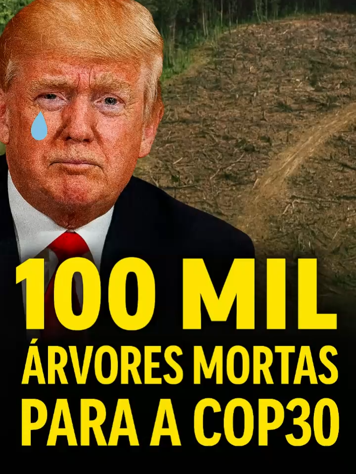 100 MIL ÁRVORE MORTEA PARA... SALVAR O PLANETA #COP30 #AmazôniaEmChamas #HipocrisiaAmbiental #MilharesDeÁrvores #FlorestaDestruída #AmbientalismoFake #BelémCOP #CriseClimática #PolíticaVerde #DesmatamentoLegalizado