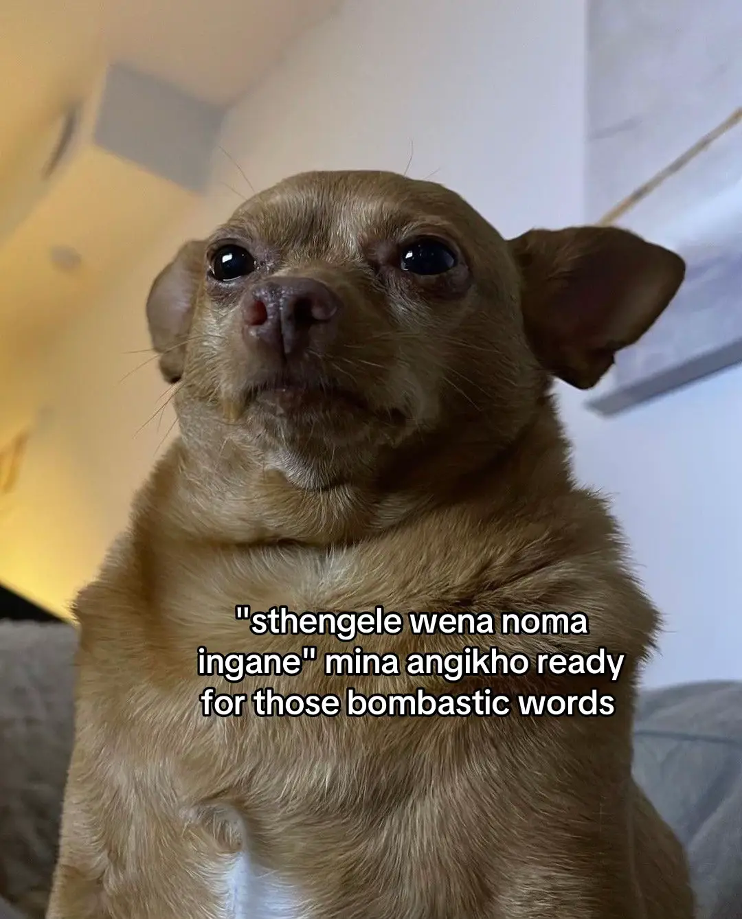 #fyp #southafrica #karabooo 