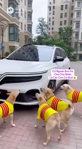 Dàn Security này được đấy. Đồng phục rất chuyên nghiệp phải ko ace?🙈#vetvuive 