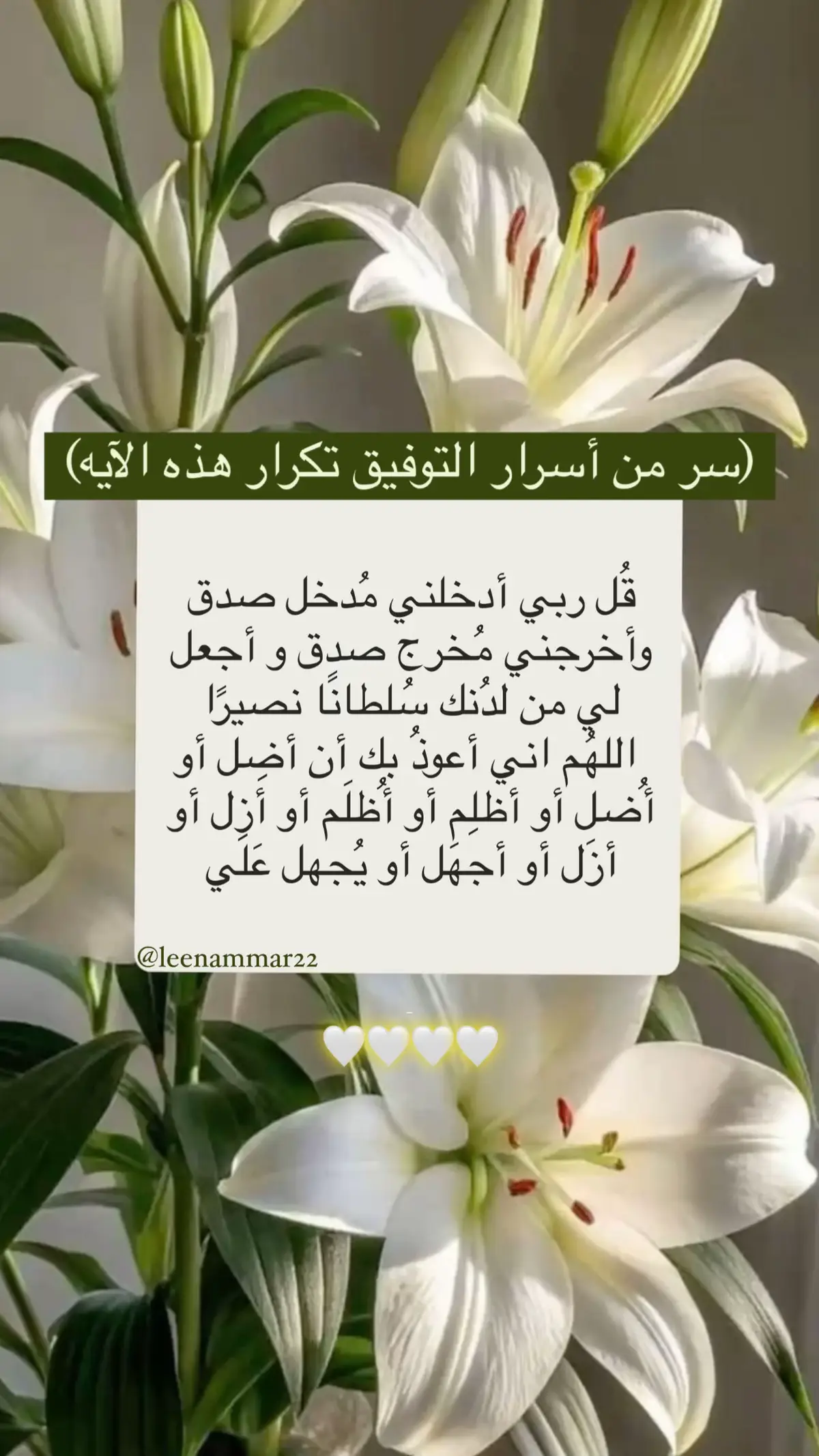 #قل_ربي_ادخلني_مدخل_صدق #قران #quran #explore #fpy 