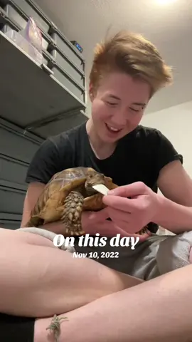 He was so small 🥹#wildwolvespack #aidenswolfies #onthisday  