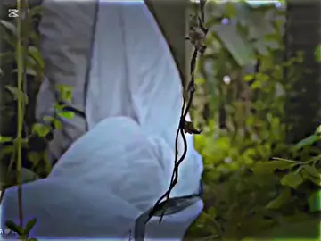 #foryoupage #vairalvideo #unfrezzmyaccount #@TikTok Bangladesh #@RealTalkTrailblazer #কিছু_লাইন_লিখে_যাও_ #CapCut 