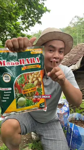 Pupuk kalsium manohara premium untuk pencegahan agar tanaman tahan serangan Hama Dan penyakit #pupuk #pupukkalsium #petanimuda #pupukcabai #promoguncang1111 