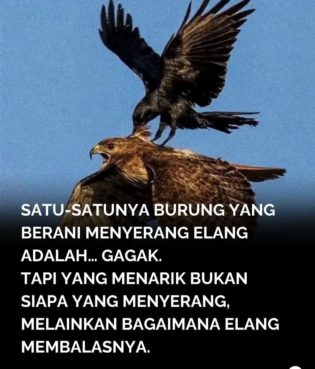 #motivation #semangatberjuang #fyp #sabar 