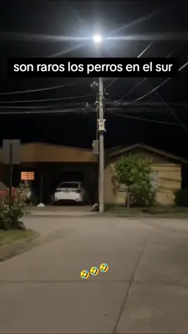 #LIVEIncentiveProgram #LIVEwithlowfollowers #PaidPartnership 