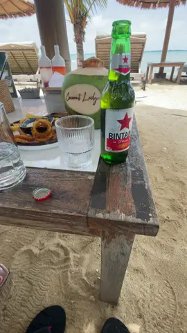 #fyp #coconutlodge #jepara24jam #trending #kudus24jam 