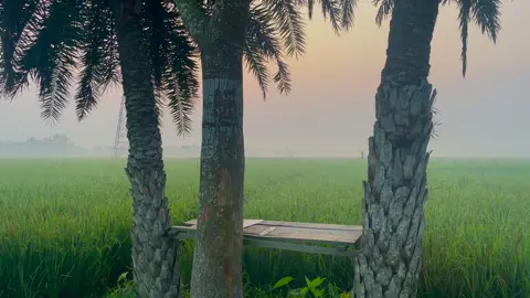 জীবনের একটা সোজা সাপ্টা হিসাব আছে, সেই হিসাব মিলাতে পারলেই জীবন সুন্দর হয়ে যায়। #viral #fyp #natural #foryoupage 