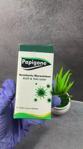 Papigone untuk kutil #kutil 