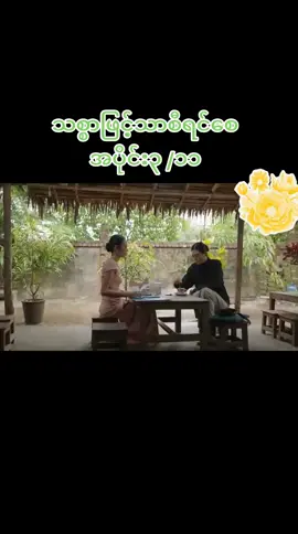 #သစ္စာဖြင့်သာစီရင်စေ 