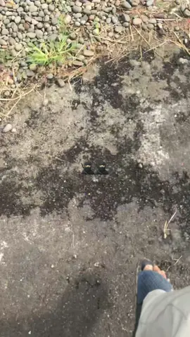 #odgjstyle🤪 #purwokerto24jam #fyp 