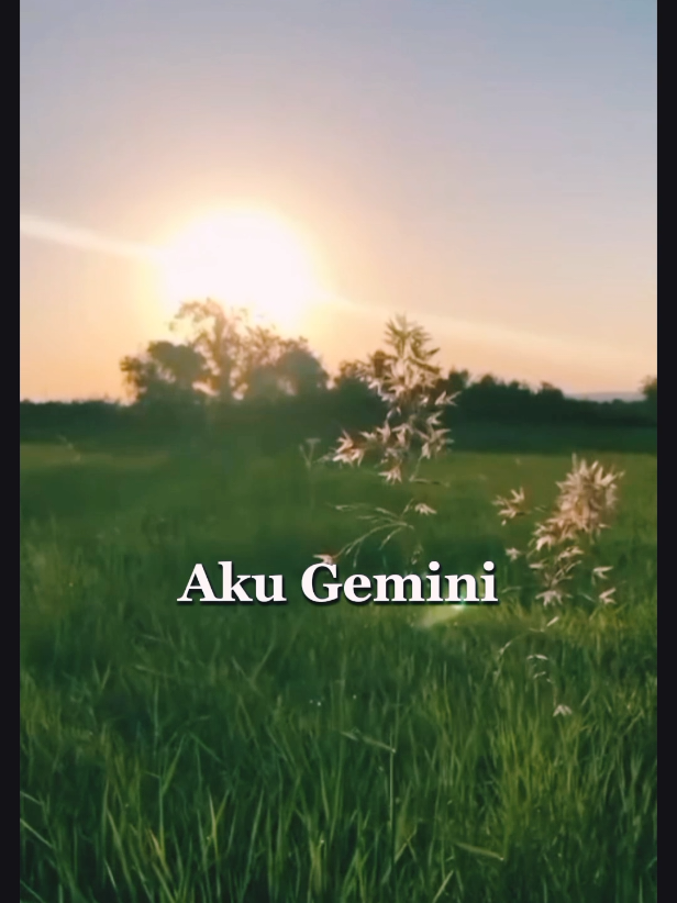 #zodiacsigns #geminivibes #gemini 