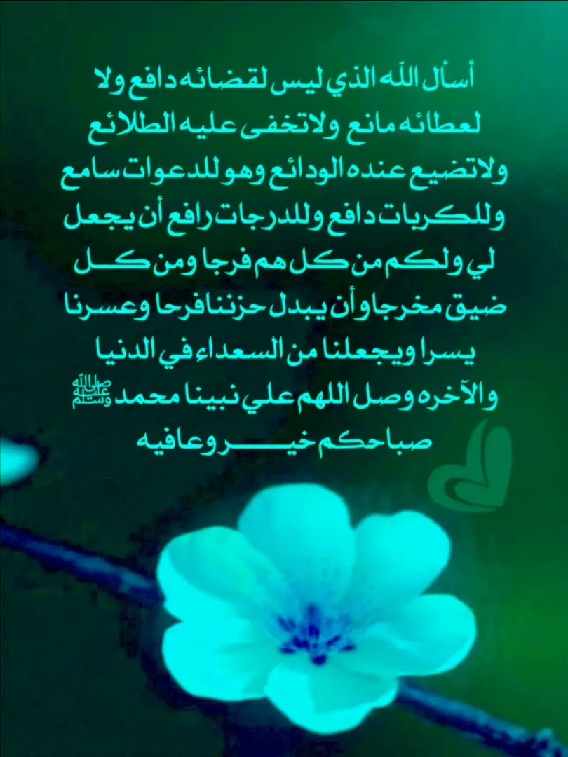 اللهم اجعل حياتنا نورا على نور ويسر لنا  جميع الأمور  وضاعف لنا الحسنات والأجور  وجنبنا المصائب والشرور 🤲🤲🤲🤲🤲 