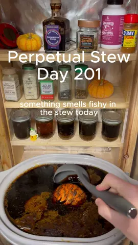 #perpetualstew #stew #soup #lazycooking #FoodTok 