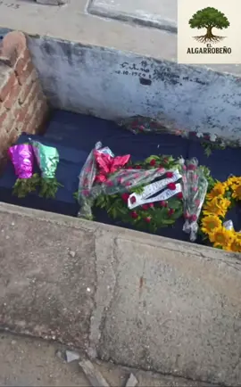“Desgarradora realidad: el cementerio de Camagüey al borde del colapso”. Este vídeo muestra el estado devastador del Cementerio General de Camagüey en Cuba: pasillos convertidos en fosas improvisadas, nichos abiertos, varias cajas apiladas hasta tres o cuatro en un mismo espacio… Es el reflejo de una crisis que afecta hasta el último descanso. Más de 20 entierros diarios han colapsado el lugar.   👉 Comparte si crees que debemos visibilizar este drama silencioso. #Ca#Camagüeyu#CubaEnCrisise#CementerioDeCamagüeye#RealidadCubanar#TragediaEnCuba       