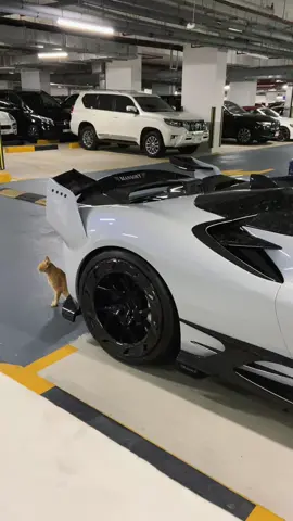 And people hate mansory 😂